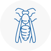 Erith Wasp Nest Removal